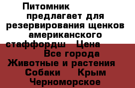 Питомник KURAT GRAD предлагает для резервирования щенков американского стаффордш › Цена ­ 25 000 - Все города Животные и растения » Собаки   . Крым,Черноморское
